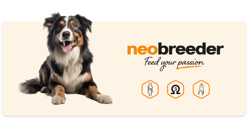 Croquettes Alleva pour chien et chat Alleva - Diusapet.fr