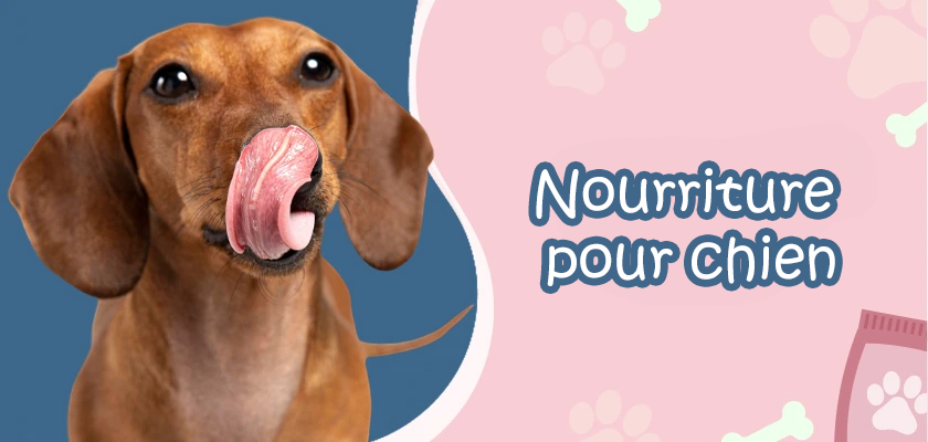 Croquettes Alleva pour chien et chat Alleva - Diusapet.fr