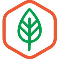 natural antioksidanti 1
